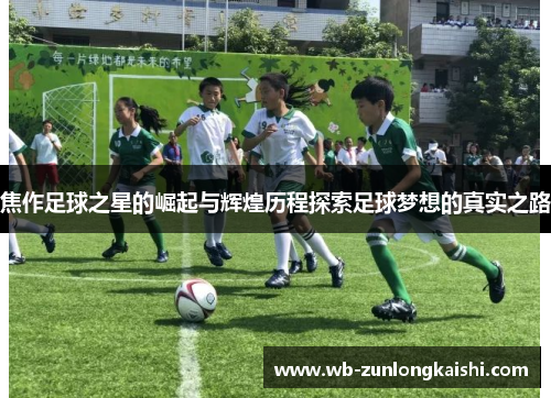 焦作足球之星的崛起与辉煌历程探索足球梦想的真实之路