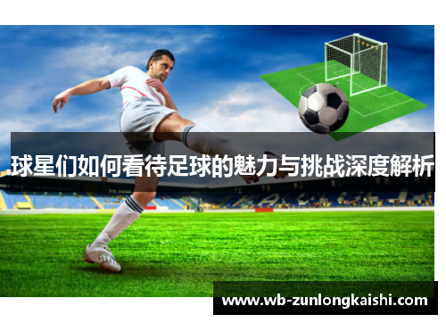 球星们如何看待足球的魅力与挑战深度解析