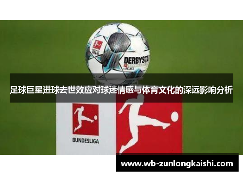 足球巨星进球去世效应对球迷情感与体育文化的深远影响分析