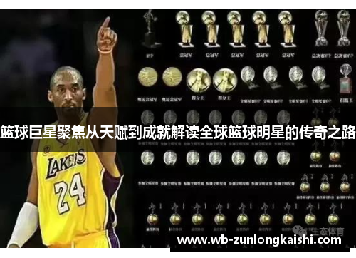 篮球巨星聚焦从天赋到成就解读全球篮球明星的传奇之路